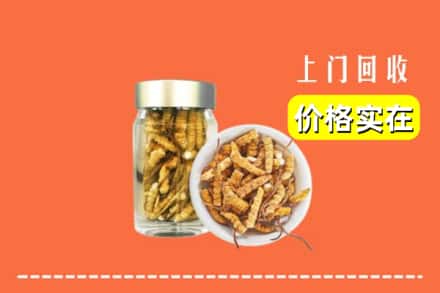 襄都区回收散虫草