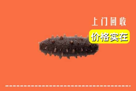 襄都区回收海参