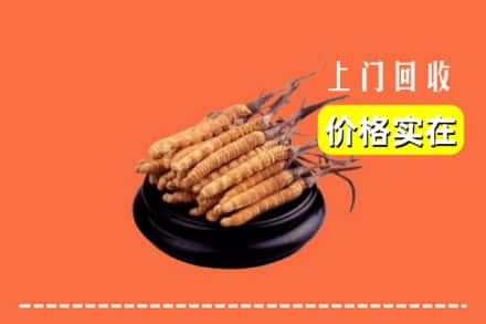 襄都区回收冬虫夏草